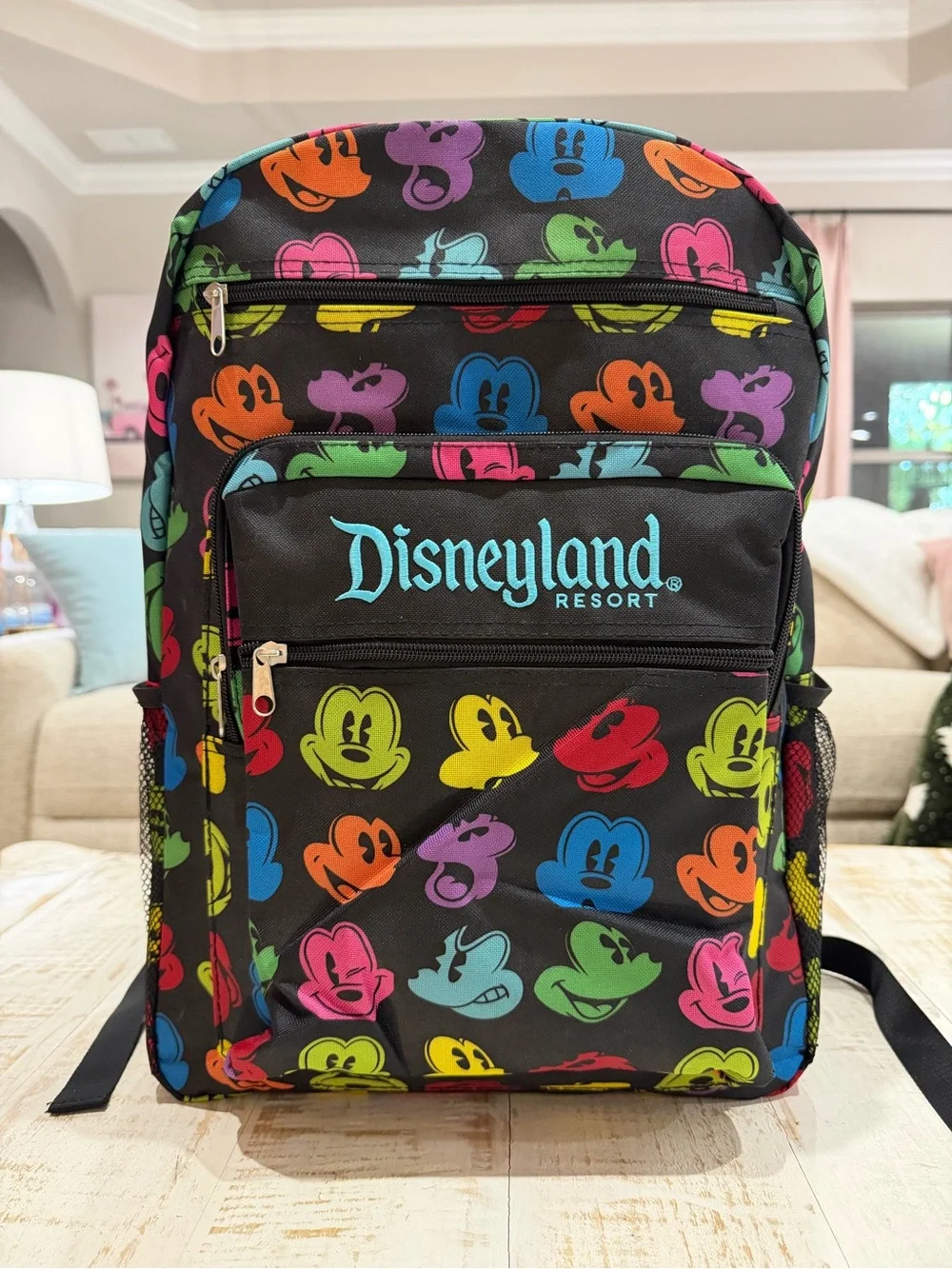 Disneyland Resort Rainbow Silhouette Mickey Mouse Face Multi-Pocket Backpack